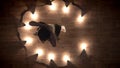 Silhouette of young girl ballerina is dancing on wooden floor, flexure, lights around, ballet concept, movement concept