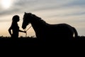 Silhouette of a young girl with a horse on the background of the sunset sky Royalty Free Stock Photo