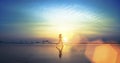 Silhouette of a young girl running along the beach Royalty Free Stock Photo