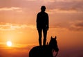 Silhouette of a young girl who is standing on a horse and looks into the distance Royalty Free Stock Photo