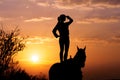 Silhouette of a young girl who is standing on a horse and looks into the distance