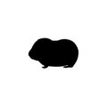 Silhouette young little Guinea pig. Cute young animal