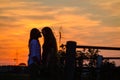 Silhouette of a young loving couple kissing at sunset, in the countryside in autumn Royalty Free Stock Photo