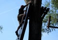 Silhouette of a young man climbing in rope park