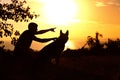 Silhouette of young man and dog enjoying nature, boy showing German Shepherd at sunset in a field, concept og friendship man and Royalty Free Stock Photo