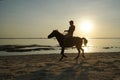 Horseback riding silhouette at sunset time Royalty Free Stock Photo
