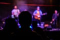 Silhouette of young man at music gig, view from behind, blurred musicians with guitars in background