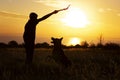 Silhouette of a young man playing with a dog in a field at sunset, boy throwing a wooden stick and working out with pet the Royalty Free Stock Photo