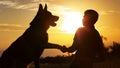 Silhouette of a young man shaking paw his favorite dog in a field at sunset, boy with a purebred pet German Shepherd walking on Royalty Free Stock Photo