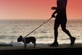 Silhouette of a young man walking a dog Royalty Free Stock Photo