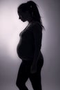 Silhouette of young pregnant woman