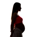 Silhouette of a young pregnant woman isolated on a white. Beauty and tender motherhood Royalty Free Stock Photo