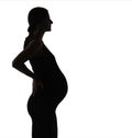 Silhouette of young pretty pregnant woman on white background Royalty Free Stock Photo