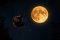 Silhouette of young witch flying in front of big moon Royalty Free Stock Photo