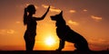 A silhouette of a young woman and her pet German Shepherd Mix Dog shaking hands at sunset Royalty Free Stock Photo