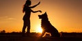 A silhouette of a young woman and her pet German Shepherd Mix Dog shaking hands at sunset Royalty Free Stock Photo