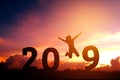 Silhouette young woman jumping to 2018 new year Royalty Free Stock Photo