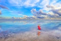 Silhouette of a young woman in a long red dress walking along the salty shore Royalty Free Stock Photo