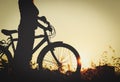 Silhouette of young woman riding bike at sunset Royalty Free Stock Photo