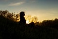 Silhouette of a young woman sitting on a hill at sunset, figure of girl in the autumn landscape