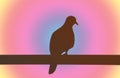 Silhouette of a Zebra Dove perching on the fence against gradient pastel color backdrop