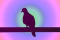 Silhouette of bird perching on the fence against gradient pastel radial backdrop