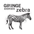 Silhouette Zebra In Grunge Design Style Animal Icon