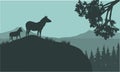 Silhouette of zebra on the hills Royalty Free Stock Photo