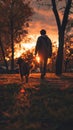 Silhouetted against a fiery sunset sky, a person enjoys a tranquil evening walk with their shaggy dog among autumn