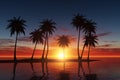 Silhouetted beauty palm trees sway in a vibrant tropical sunset