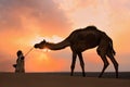 Silhouetted bedouin walking with his camel at sunset, Thar desert near Jaisalmer, India