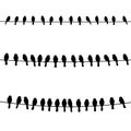 Numerous small black birds perched together on three horizontal telephone wires silhouette Royalty Free Stock Photo