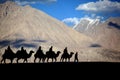 Silhouetted camel Royalty Free Stock Photo
