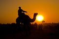 Silhouetted camel rider at sunset