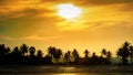 Silhouetted coconut palm trees on the beach at sunset time