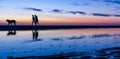 Silhouetted couple walking the dog on the beach at sunset Royalty Free Stock Photo