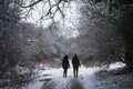 Silhouetted couple in the snow Royalty Free Stock Photo