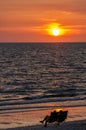 A silhouetted couple watch the sunset at the beach.