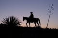 Silhouetted Cowboy