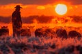 Silhouetted Cowboy Watching Cattle Royalty Free Stock Photo
