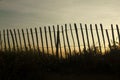 Silhouetted fence against sunset