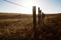 Silhouetted fence line and grass blowing in the wind