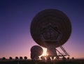 Silhouetted field of Large radio telescope dishes Royalty Free Stock Photo