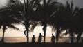 A silhouetted group of friends on vacation in Tamarindo, Costa Rica watch the Pacific Ocean under a grove of palm trees with