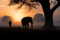 Silhouetted mahout rides an elephant beneath a tree at sunrise