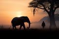 Silhouetted mahout rides an elephant beneath a tree at sunrise