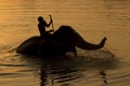 Silhouetted mahouts bathing the elephants during sunset. Royalty Free Stock Photo