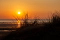 Sunset at Formby Beach on the Merseyside coast, with silhouetted marram grass in the foreground Royalty Free Stock Photo