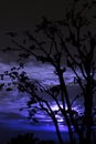 Silhouetted moonrise in himachal india