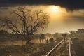 Silhouetted mother with child and relatives on railway during a sunset